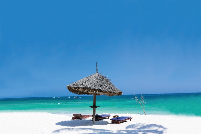 Dolphin Tour; Kuza Cave Tour; Paje Beach; The Rock Restaurant; Jozani Forest - Paje Beach: two hours to slow the pace