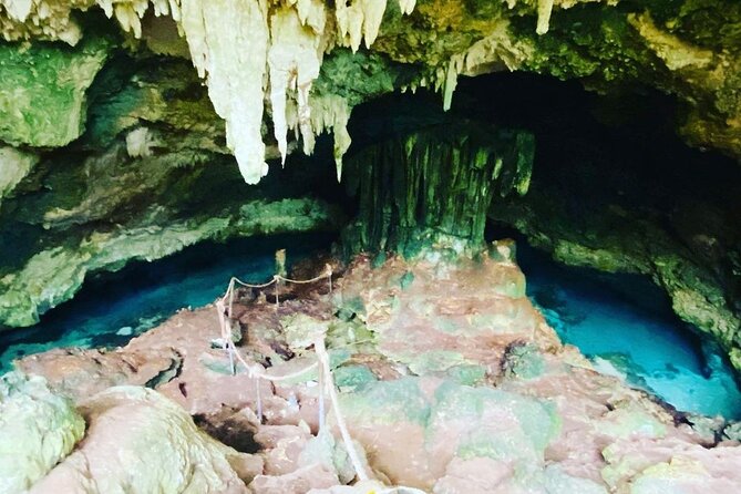 Dolphin Tour; Kuza Cave Tour; Paje Beach; The Rock Restaurant; Jozani Forest - Guides, transport, and the rhythm of the day