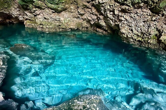 Dolphin Tour; Kuza Cave Tour; Paje Beach; The Rock Restaurant; Jozani Forest - What to bring and what to confirm