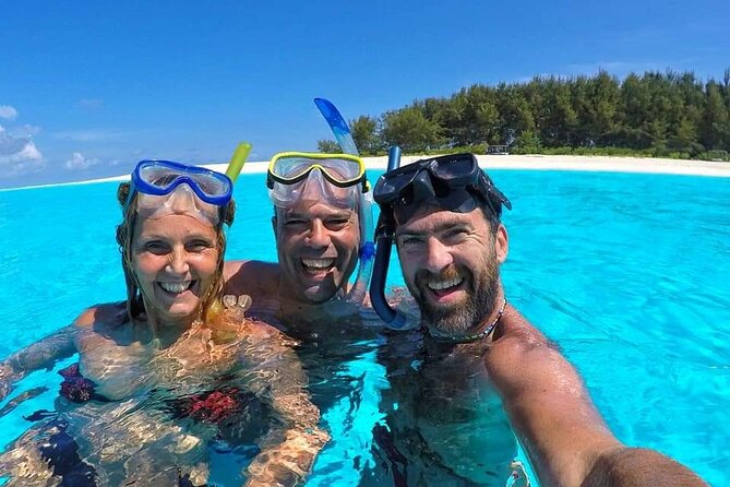 Dolphin Tour & Snorkeling at Mnemba Island - Why This Mnemba Tour Works So Well