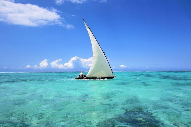 Dolphin Tour & Snorkeling at Mnemba Island - The Sandbank Finish Near Mnemba