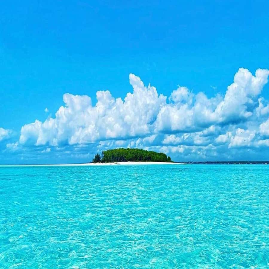 Dolphins & Snorkeling Zanzibar: Mnemba Island Tour - Quick points to know before you book