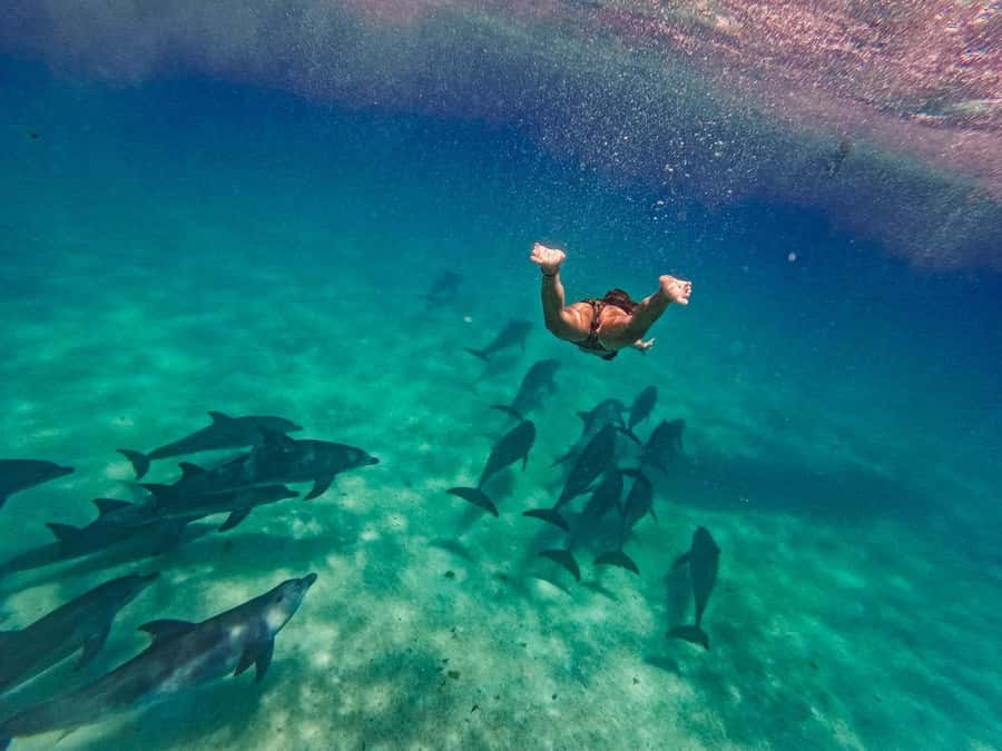 Dolphins tour and turtles swimming in kizimkazi - Setting out from your Zanzibar hotel