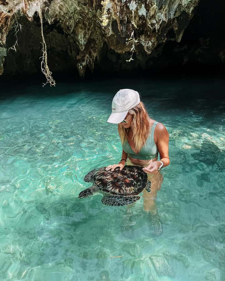 Dolphins tour + mnemba island snorkeling + salaam turles - Key points before you book