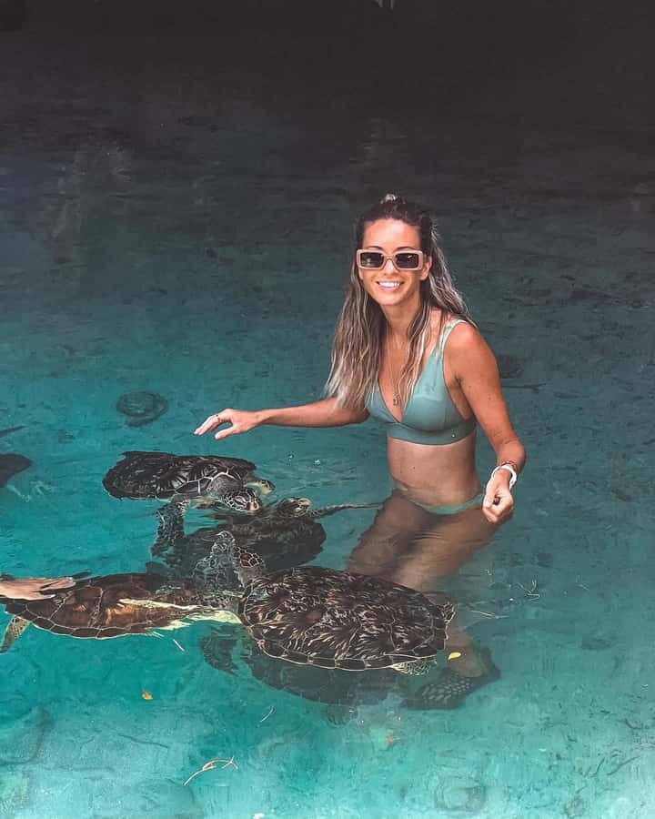 Dolphins tour + mnemba island snorkeling + salaam turles - What the $150 price really covers