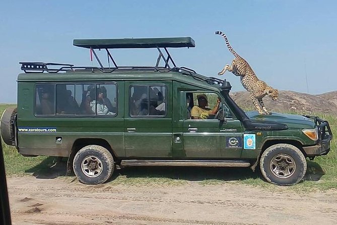 Elephant Special Serengeti & Ngorongoro Crater 5 Days / 4 Nights - Day four: wildlife below the rim of Ngorongoro