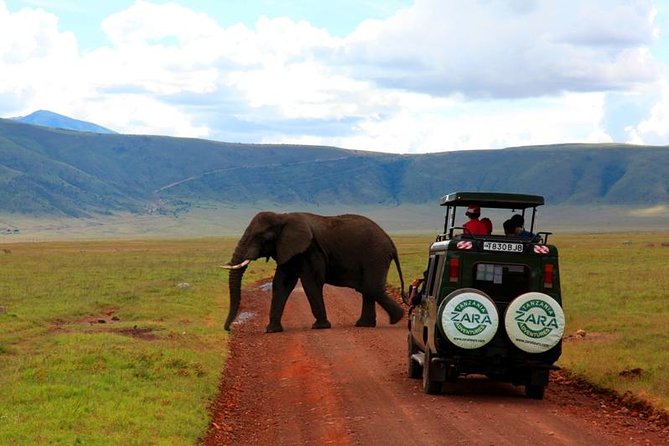 Elephant Special Serengeti & Ngorongoro Crater 5 Days / 4 Nights - Meals, vehicles, and what is covered