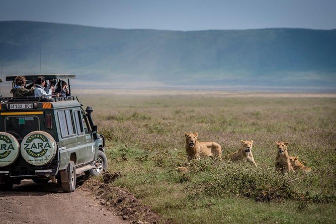 Elephant Special Serengeti & Ngorongoro Crater 5 Days / 4 Nights - Day two: Olduvai Gorge and the road into the Serengeti