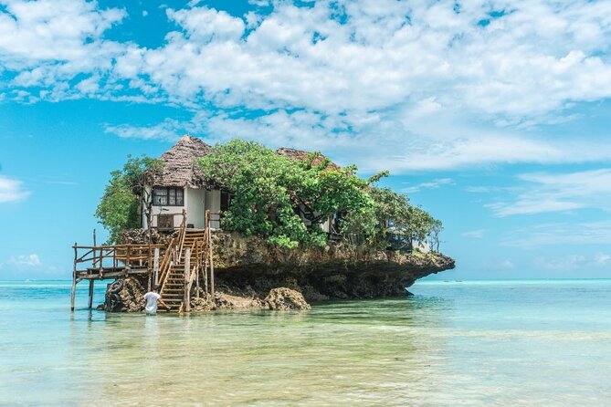 Exclusive Full-Day Zanzibar Adventure: Jozani Forest, Hidden Gems - Jozani Forest: red colobus monkeys and mangrove paths