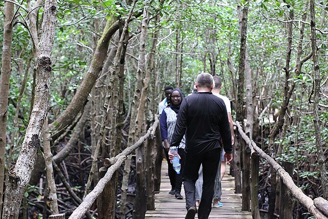 Exclusive Full-Day Zanzibar Adventure: Jozani Forest, Hidden Gems - What $150 buys you, and what it does not