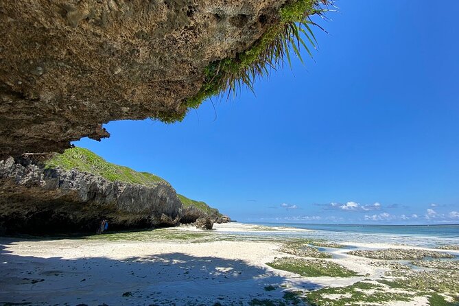 Explore Zanzibar's 6 Quintessential Southeastern Charm Full day - Mtende Beach for sand, photographs, and a picnic