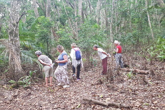 Exploring the Hidden Gems of Zanzibar - Kuza Cave and the Swahili story