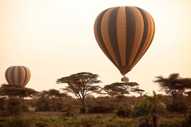 Extraordinary Hot air Bolloon ride in Serengeti | BURIGI CHATO SAFARIS CO L.T.D - A 5 a.m. start in the Serengeti