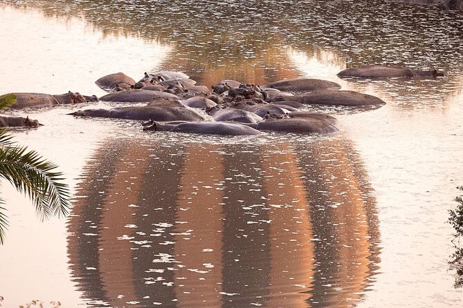 Extraordinary Hot air Bolloon ride in Serengeti | BURIGI CHATO SAFARIS CO L.T.D - Wildlife viewing from a different angle