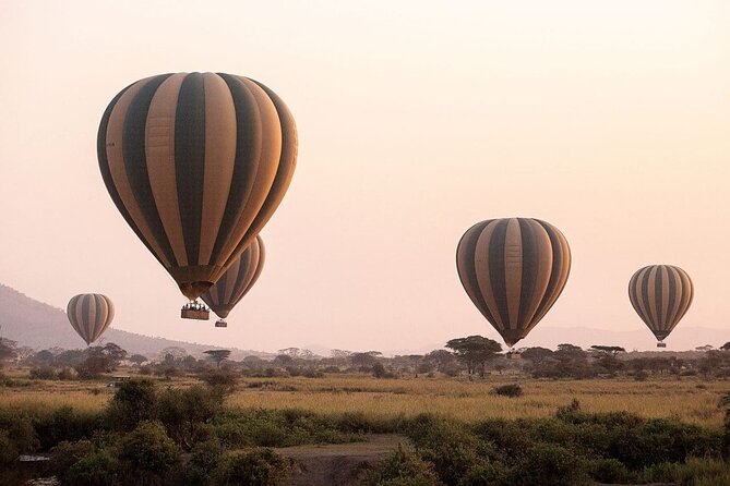 Extraordinary Hot air Bolloon ride in Serengeti | BURIGI CHATO SAFARIS CO L.T.D - Returning to your lodge in time for the day