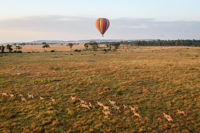 Extraordinary Hot air Bolloon ride in Serengeti | BURIGI CHATO SAFARIS CO L.T.D - Who will enjoy this most?