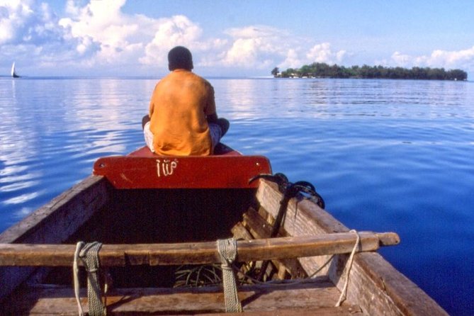 Ferry Tickets to Zanzibar with Transfers. - Why this ferry is the practical way to reach Zanzibar