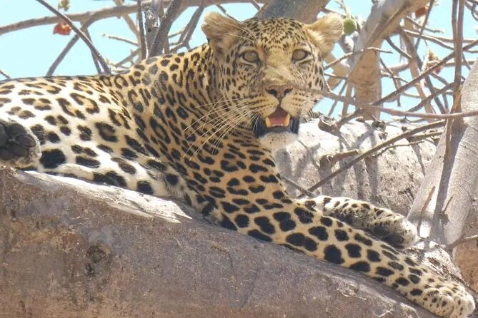 Flight Package Zanzibar to Nyerere National Park (Selous GR) 3 Days 2 Nights - Day 1: From Zanzibar to a full day in Nyerere