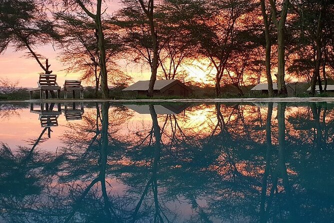 From Arusha: 11 Days famous Serengeti Inside out safari trip - Day 1: Arrive at Kilimanjaro Airport and settle in Arusha