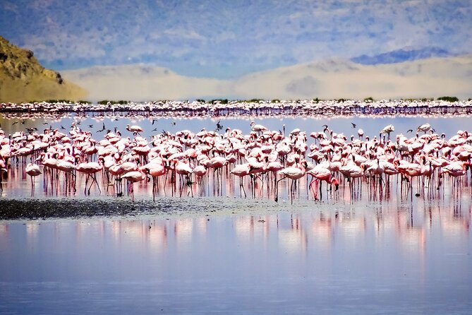 From Arusha : 11 days The Complete Africa Safari North Tour - Ngorongoro Crater packs wildlife into one dramatic day