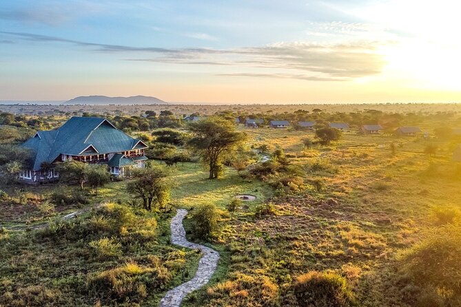 From Arusha : 3 Days Private Safari Tarangire N.P and Serengeti - How the private format changes the experience