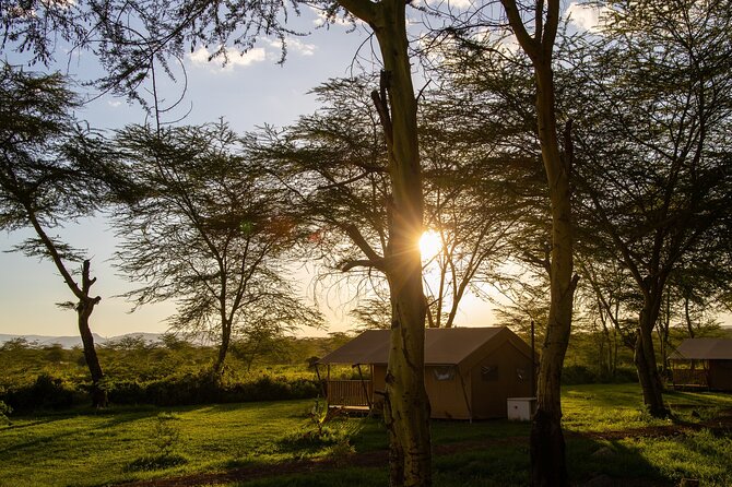 From Arusha: 5 Days Classic Safari Cats, Calves & Crater - What the $1,254 price covers