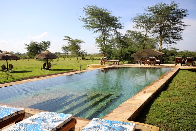 From Arusha: 5 Days Classic Safari Cats, Calves & Crater - Day 2: Crossing Ngorongoro toward Lake Ndutu