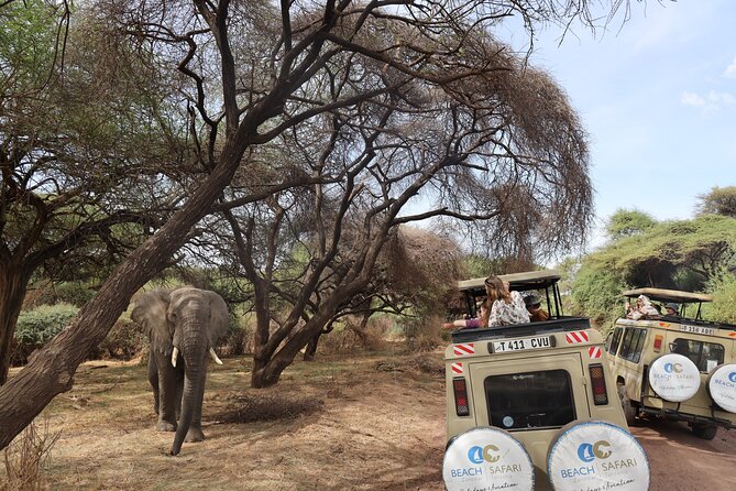 From Arusha: 6 Day Classic Game Drive Serengeti & Ngorongoro - Why this six-day route works