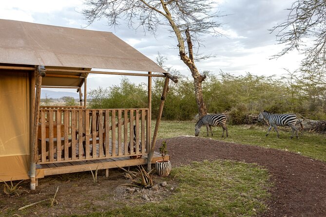 From Arusha: 7 Days Classic Safari Central Northern Circuit - What this seven-day route does well