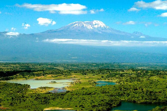 From Arusha: 7 Days Classic Safari Central Northern Circuit - Day 2: A slower day in the Manyara area