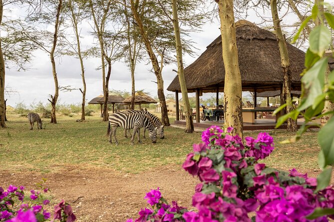 From Arusha: 9 Days Private Guided Classic Game Drive in Tanzania - Day 9: Returning through Karatu to Arusha