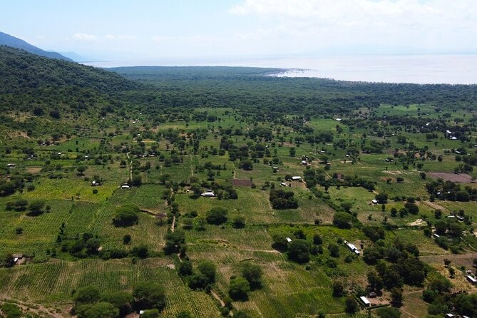 From Arusha: 9 Days Private Guided Classic Game Drive in Tanzania - Day 2: Lake Manyara’s forest, birds and open lake shore