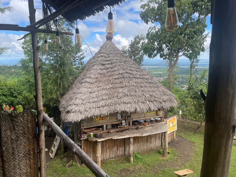 From Arusha: Coffee Farm and Mangalia Waterfalls Tour - Key points at a glance