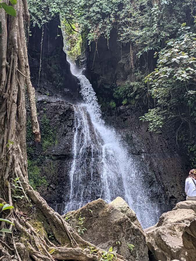 From Arusha: Coffee Farm and Mangalia Waterfalls Tour - Why this four-hour outing works in Arusha