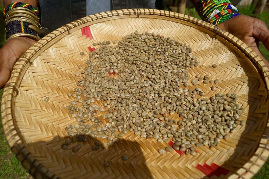 From Arusha: Coffee Farm and Mangalia Waterfalls Tour - Who should book this experience