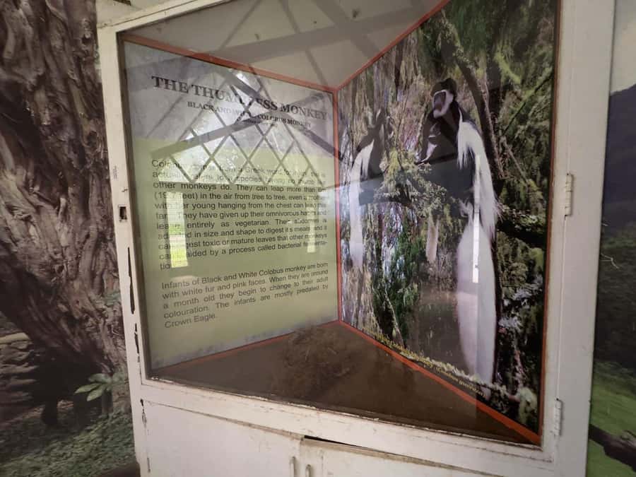 From Arusha: Guided City Tour with the best highlights - The National Natural History Museum