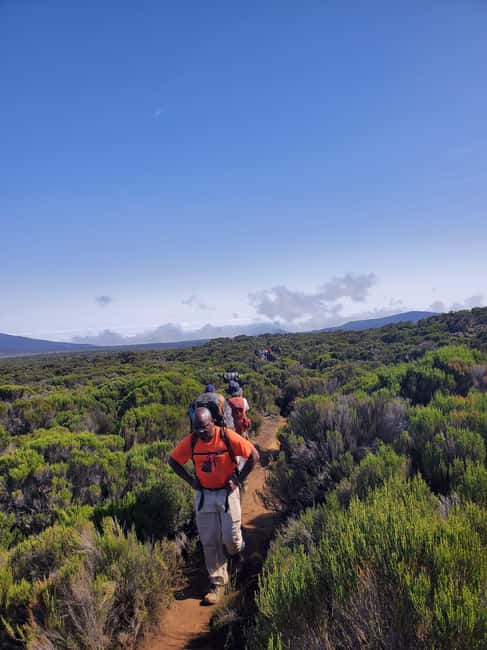 From Arusha/Moshi: Kilimanjaro Hike Marangu Route Day Trip - The rainforest climb to Mandara Hut