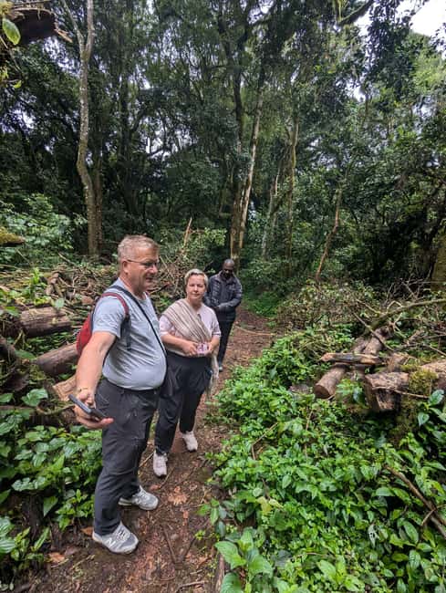 From Arusha/Moshi: Kilimanjaro Hike Marangu Route Day Trip - Maundi Crater and views toward Kenya
