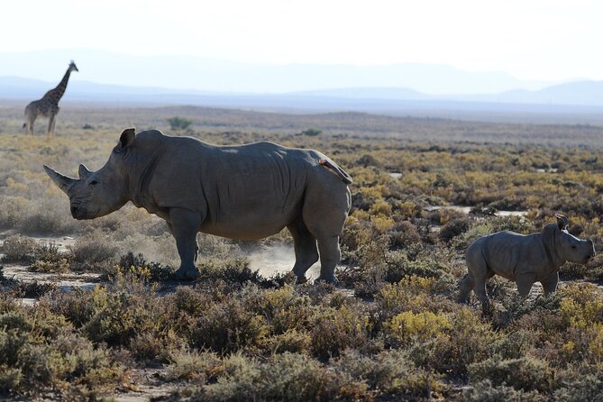 From Arusha: Tarangire and Ngorongoro Crater 3-Day Private Safari - Your overnight at Africa Safari Lake Manyara