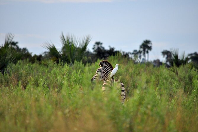 From Arusha: Tarangire and Ngorongoro Crater 3-Day Private Safari - What the guide can add to the experience