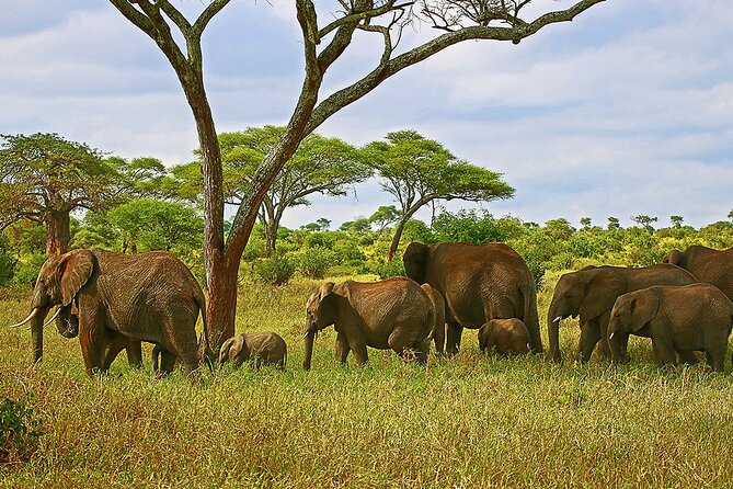 From Arusha: Tarangire and Ngorongoro Crater 3-Day Private Safari - Is $1,088 per person a fair price?