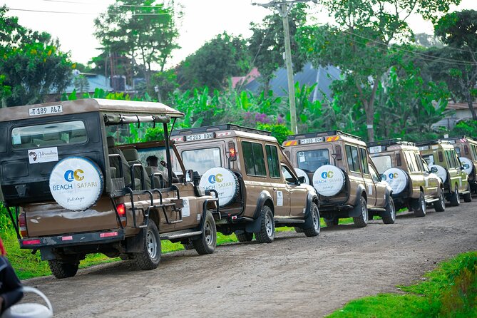 From Arusha: Tarangire and Ngorongoro Crater 3-Day Private Safari - Who will enjoy this safari most?