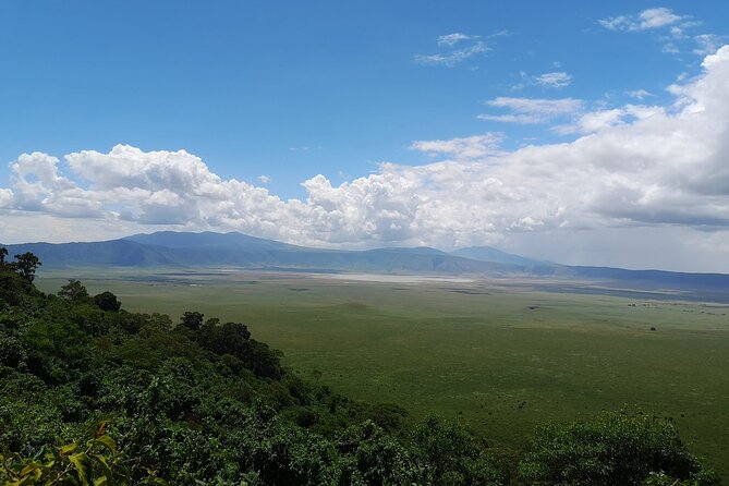 From Arusha to Zanzibar : 11 days From Bush to Beach safari - Day 5: Lake Manyara and the chance to spot tree-climbing lions