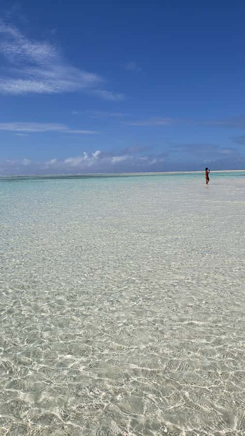 From Kendwa: Mnemba Boat Trip and Dolphin Snorkel Adventure - Key points to know before booking