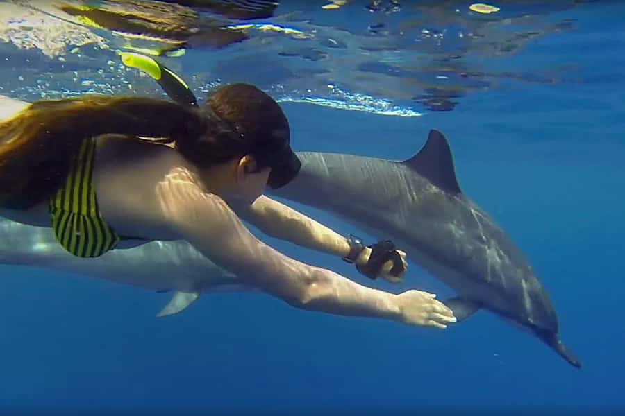 From Kendwa: Mnemba Boat Trip and Dolphin Snorkel Adventure - A four-hour morning from Kendwa to Mnemba