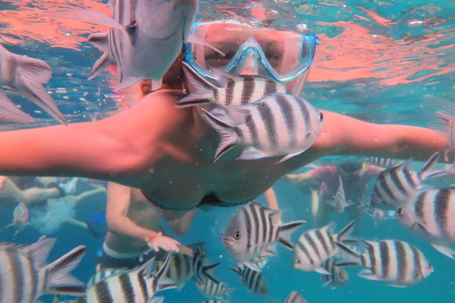 From Kendwa: Mnemba Boat Trip and Dolphin Snorkel Adventure - Mnemba Atoll and its coral reef