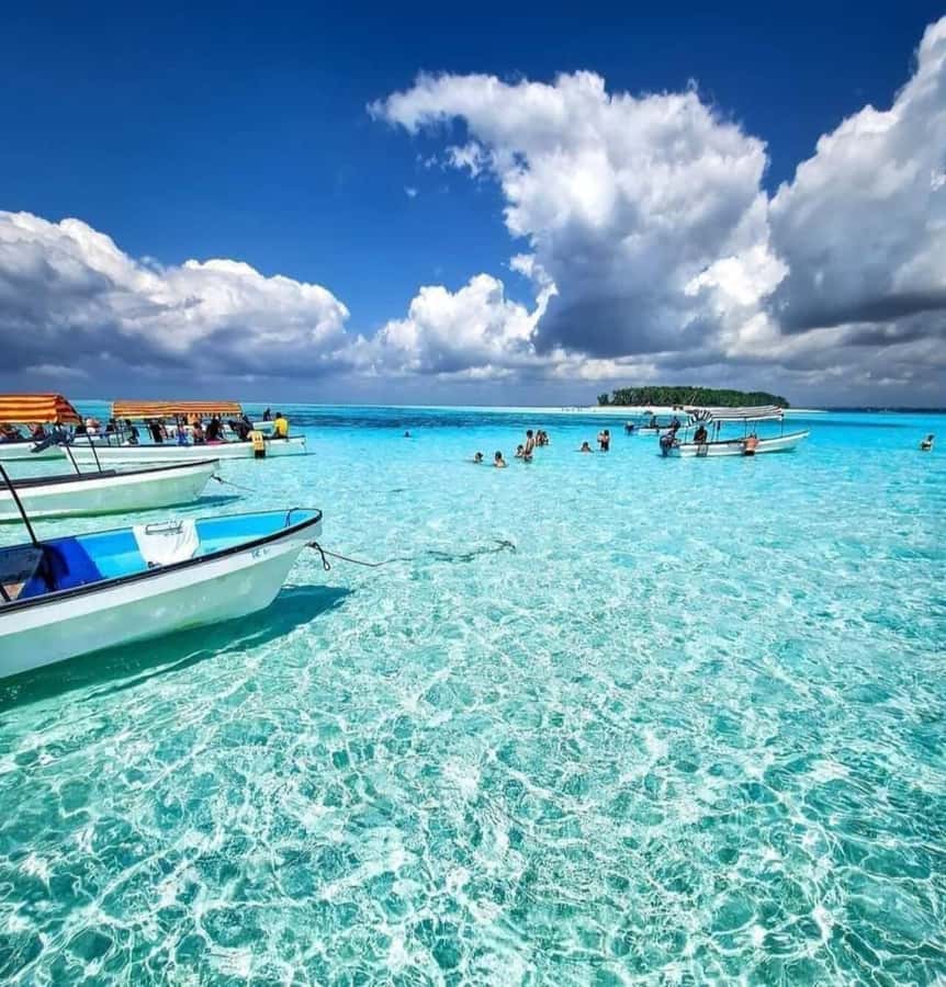 FROM KENDWA; Mnemba snorkelling and Dolphin tour - Snorkelling around Mnemba’s coral reefs