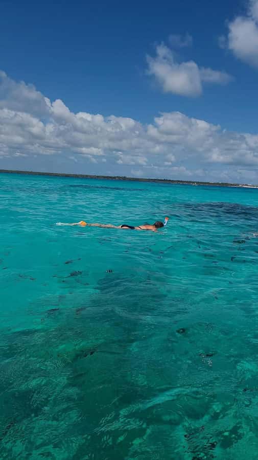 FROM KENDWA; Mnemba snorkelling and Dolphin tour - Dolphin watching with swimming as an option