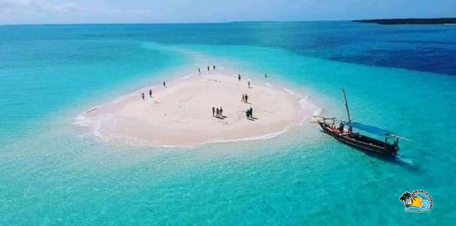 From Kendwa/Nungwi: Mnemba Dolphins with Snorkel Tour - Should you book the Mnemba Dolphins and Snorkel Tour?