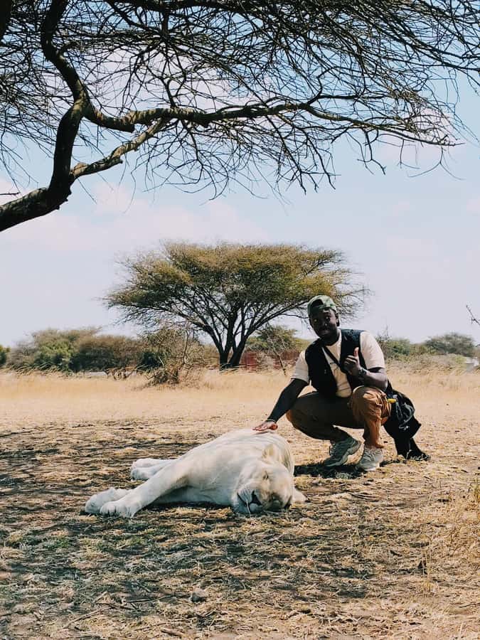 From Moshi or Arusha: Serval Wildlife Sanctuary Trip - Should you book the Serval Wildlife Sanctuary trip?